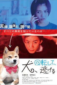 狗转了一圈，逃跑了