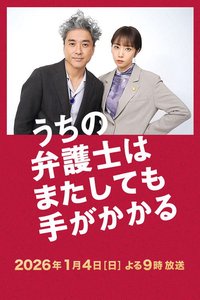 我家的律师又惹麻烦了