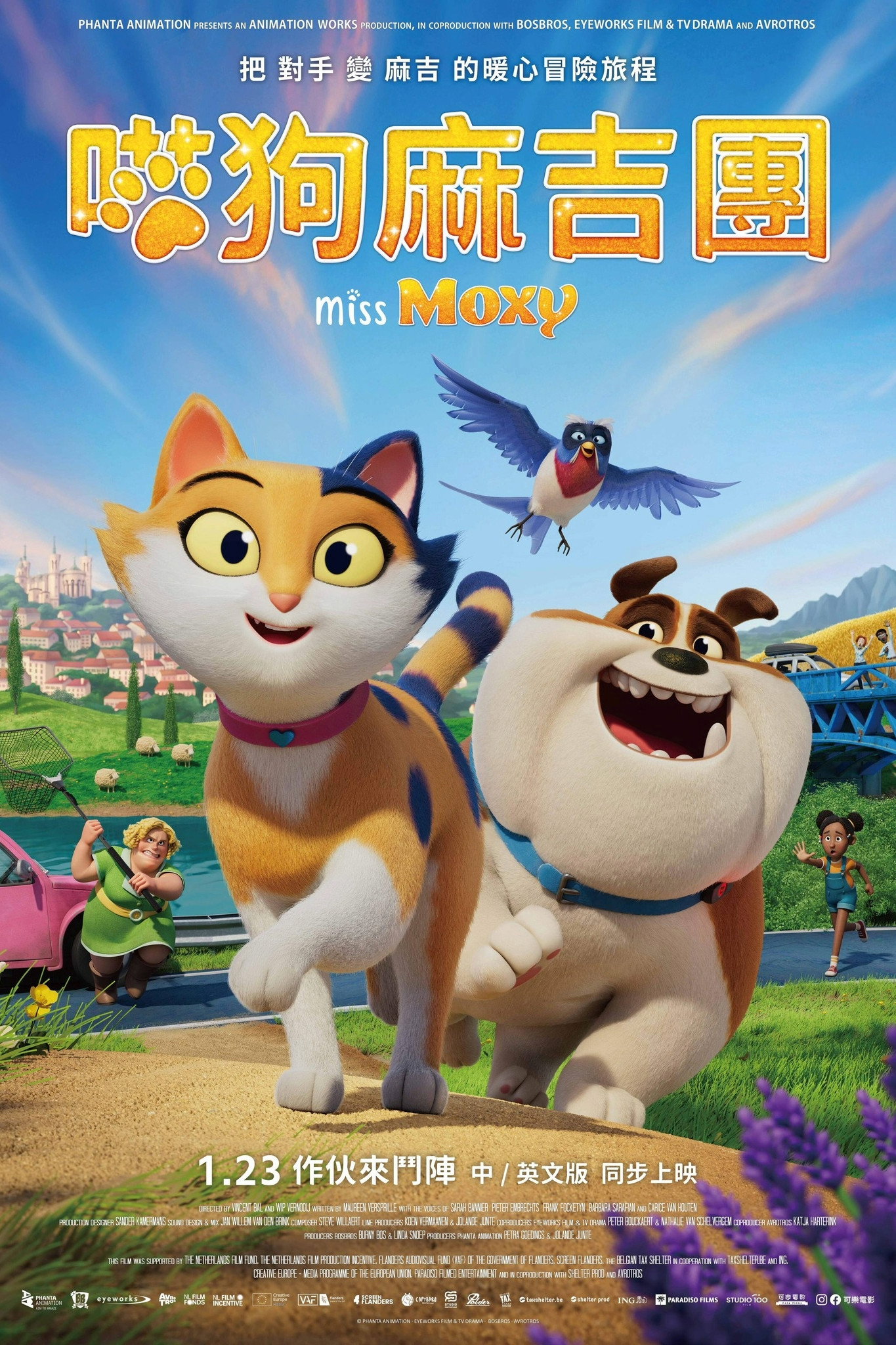 猫小姐莫西