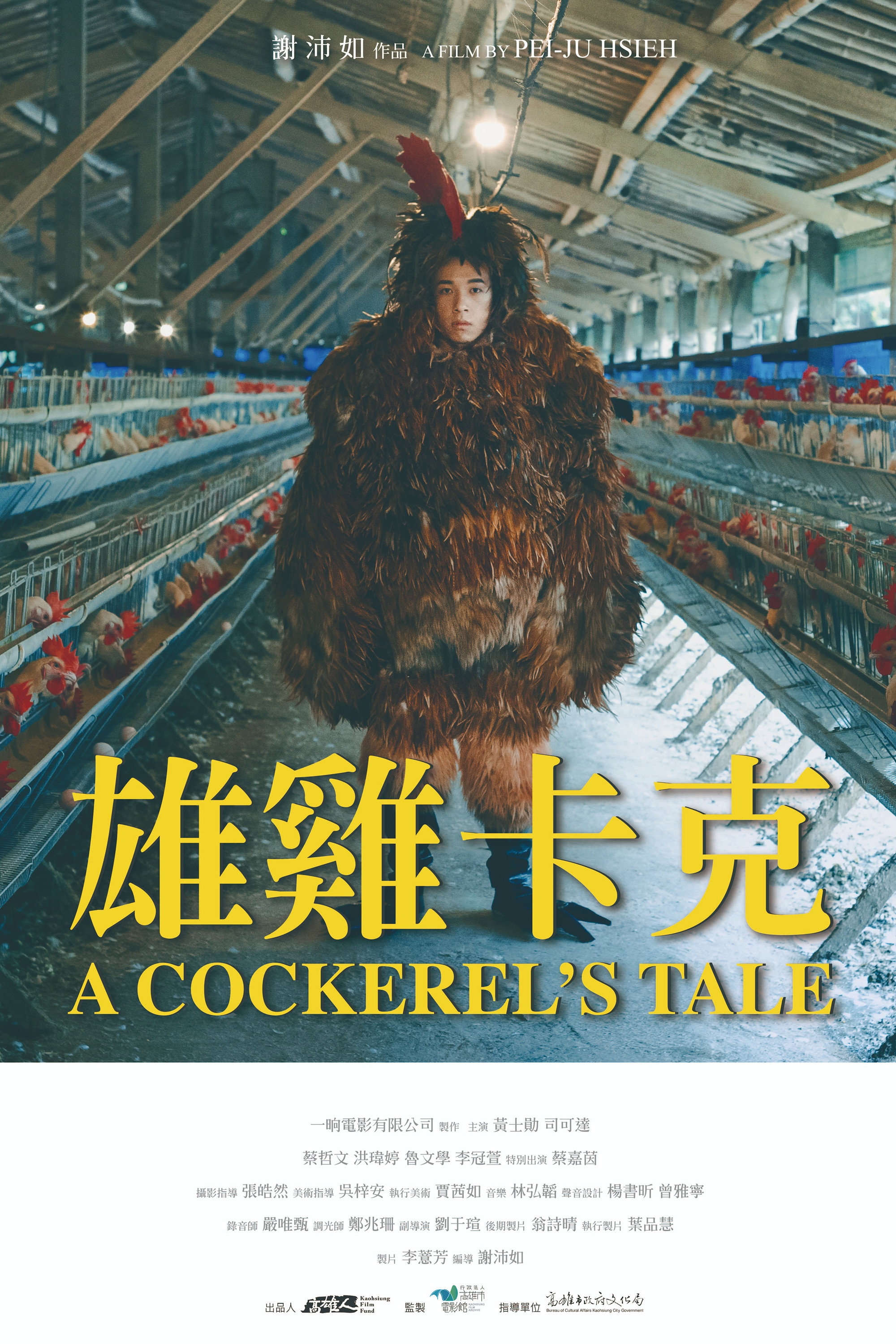 封面