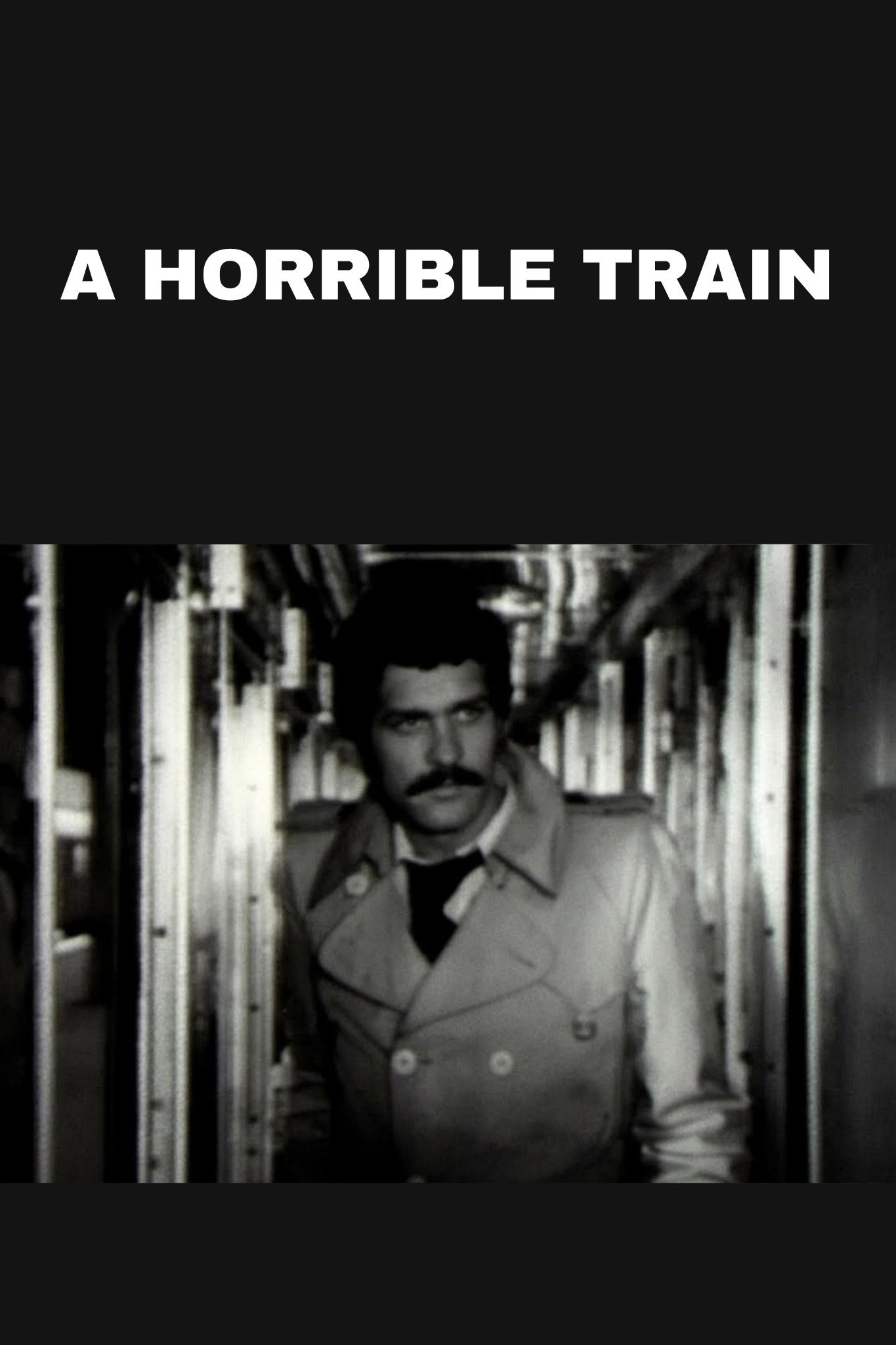 A Horrible Train
