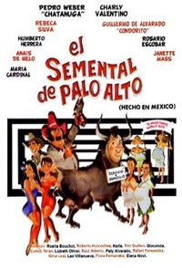 El semental de Palo Alto
