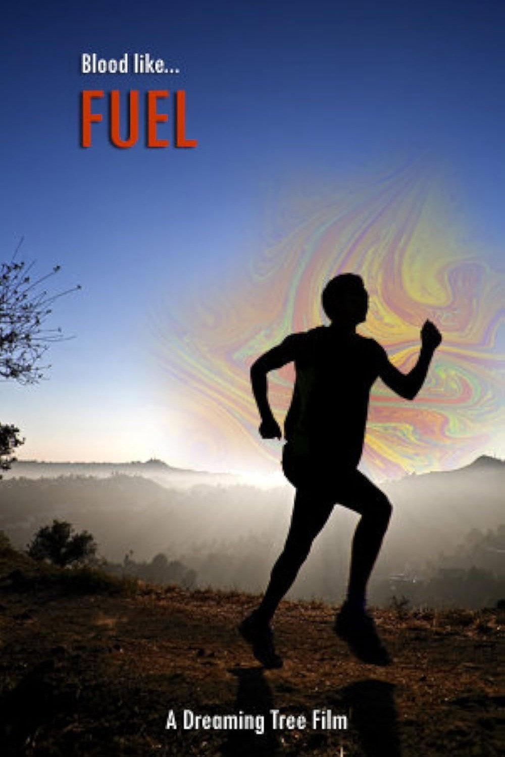 Fuel