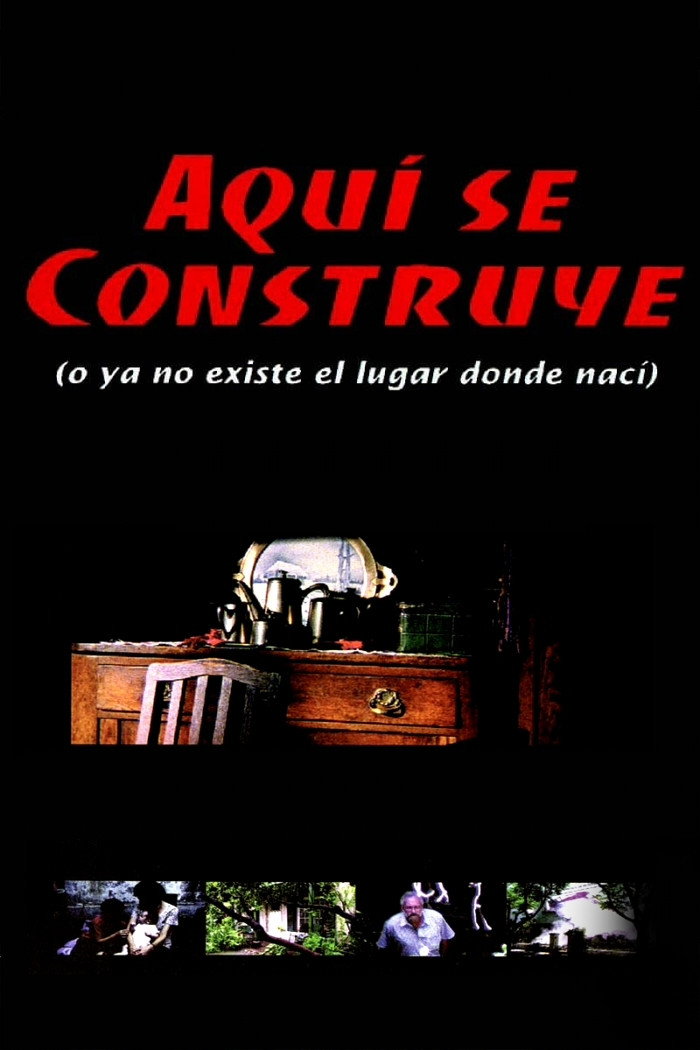 Under Construction (Or The Place Where I Was Born No Longer Exists)