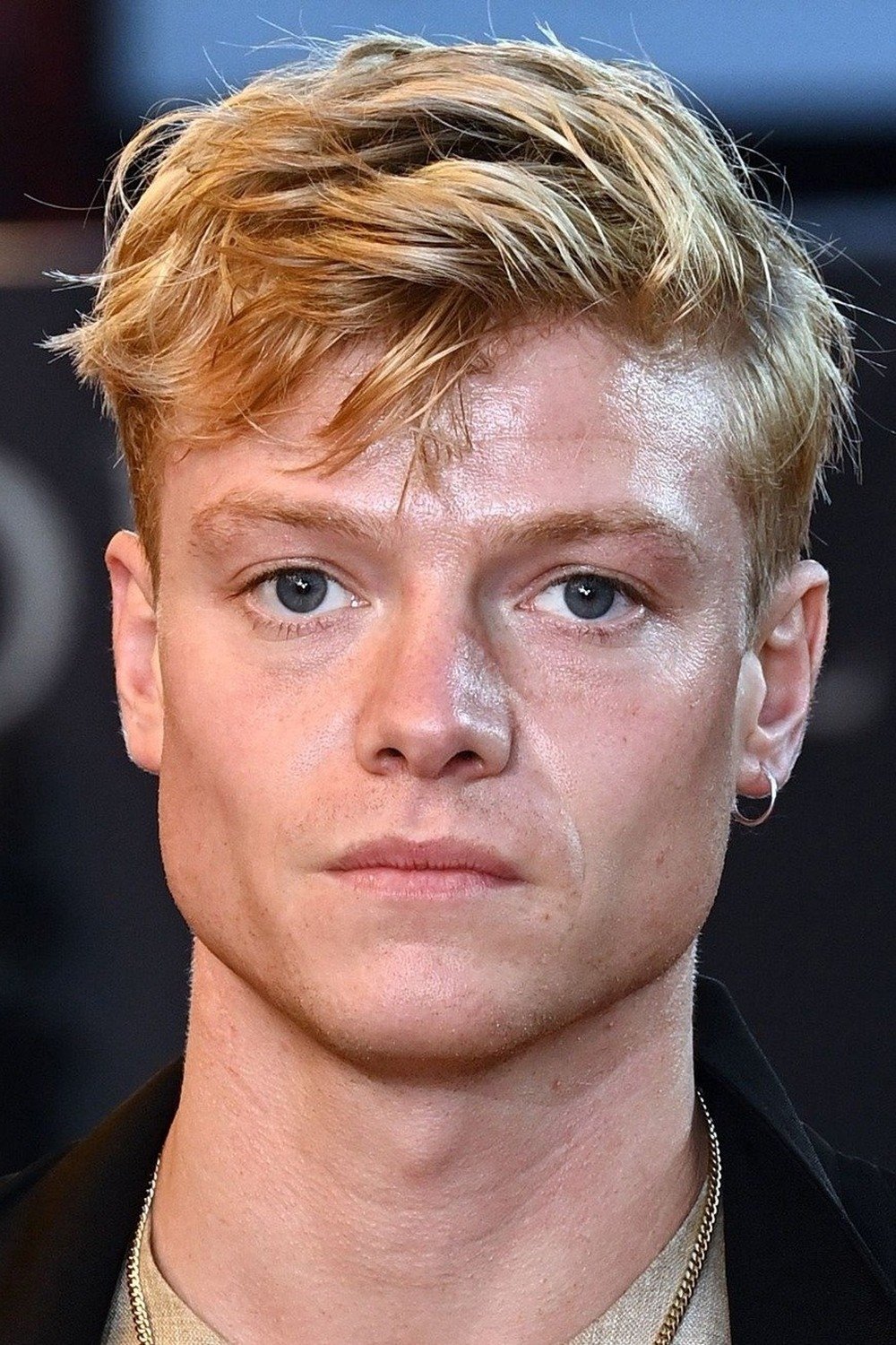 汤姆·里斯·哈里斯