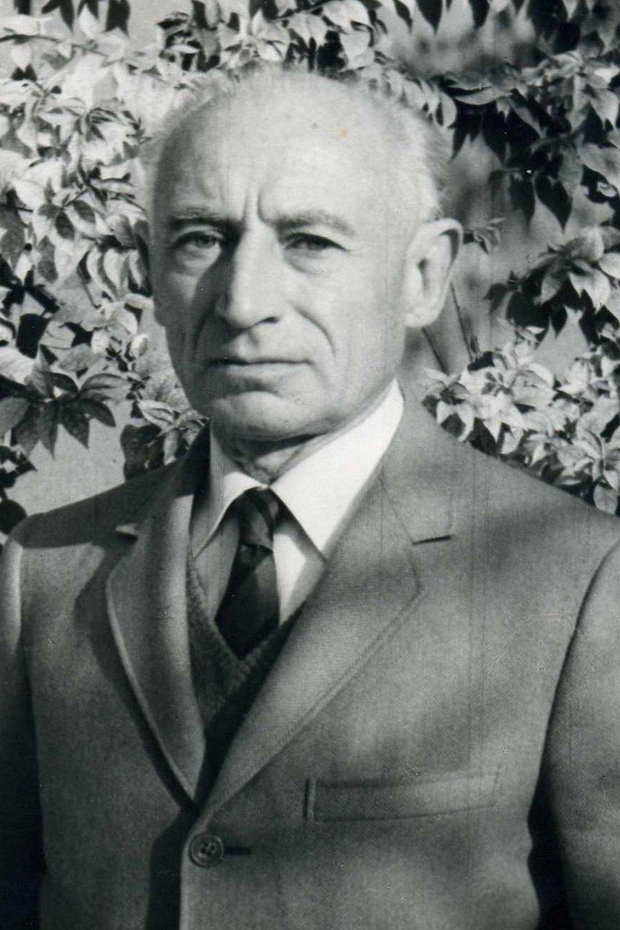 图里奥·皮内利