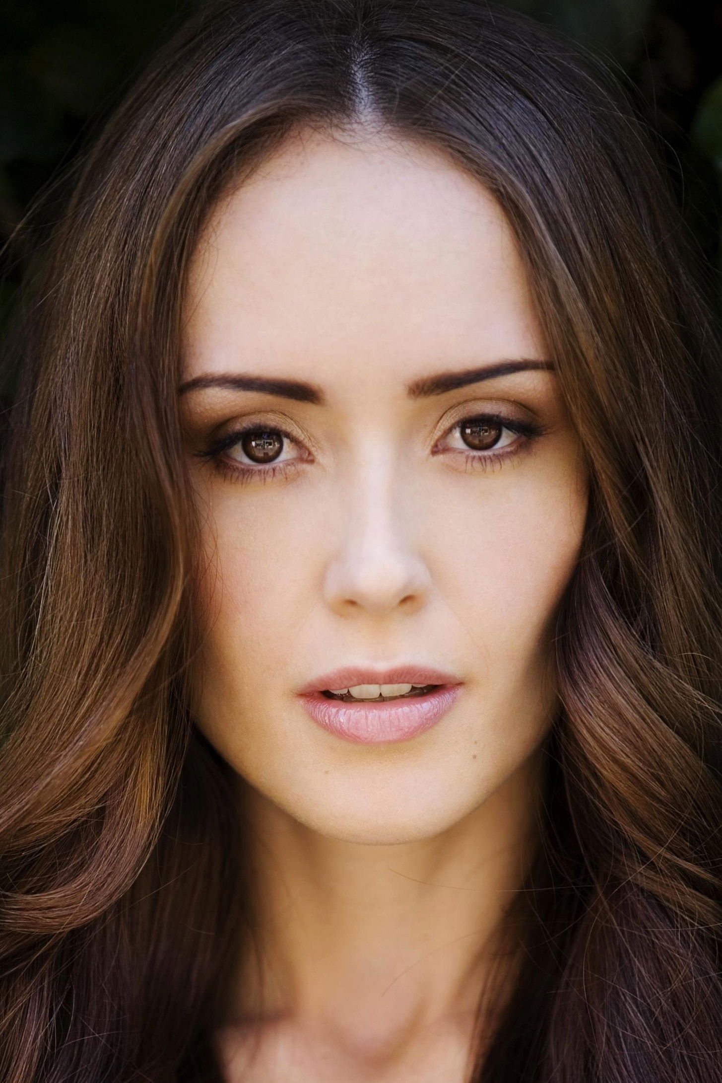 劳伦·格里姆森