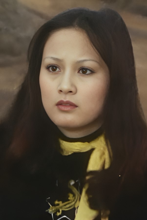 梢瞳