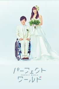 完美的世界