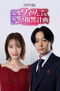 完美妻子的完美复仇计划