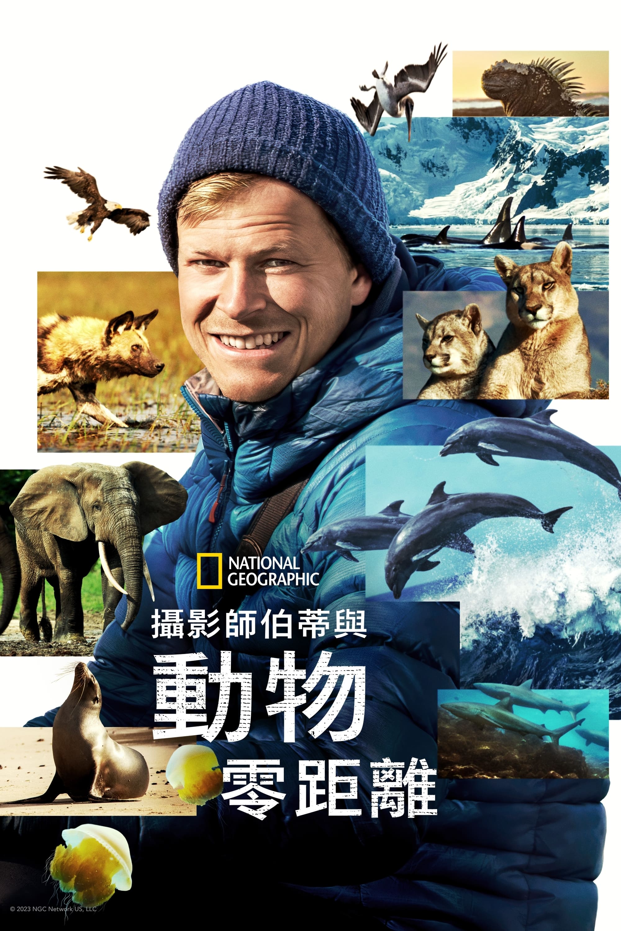 Animals Up Close with Bertie Gregory