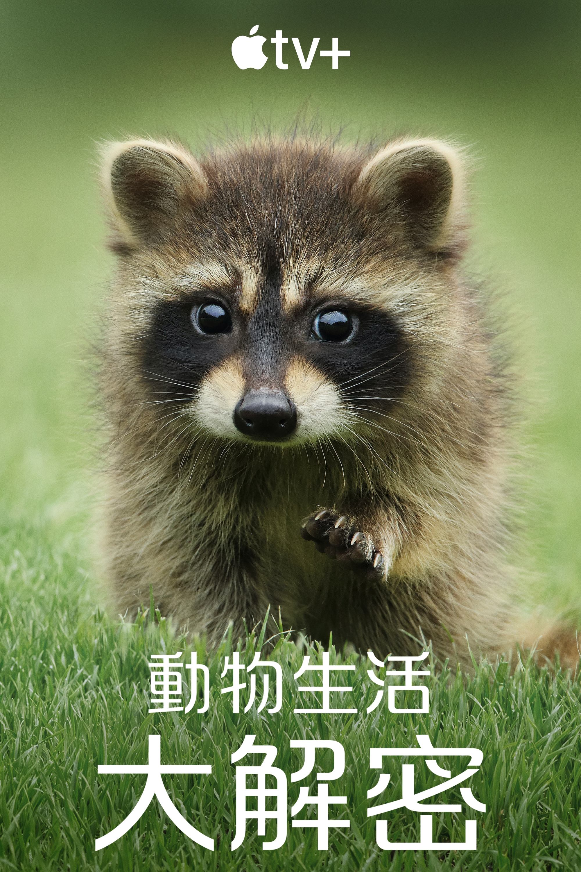 动物的秘密生活