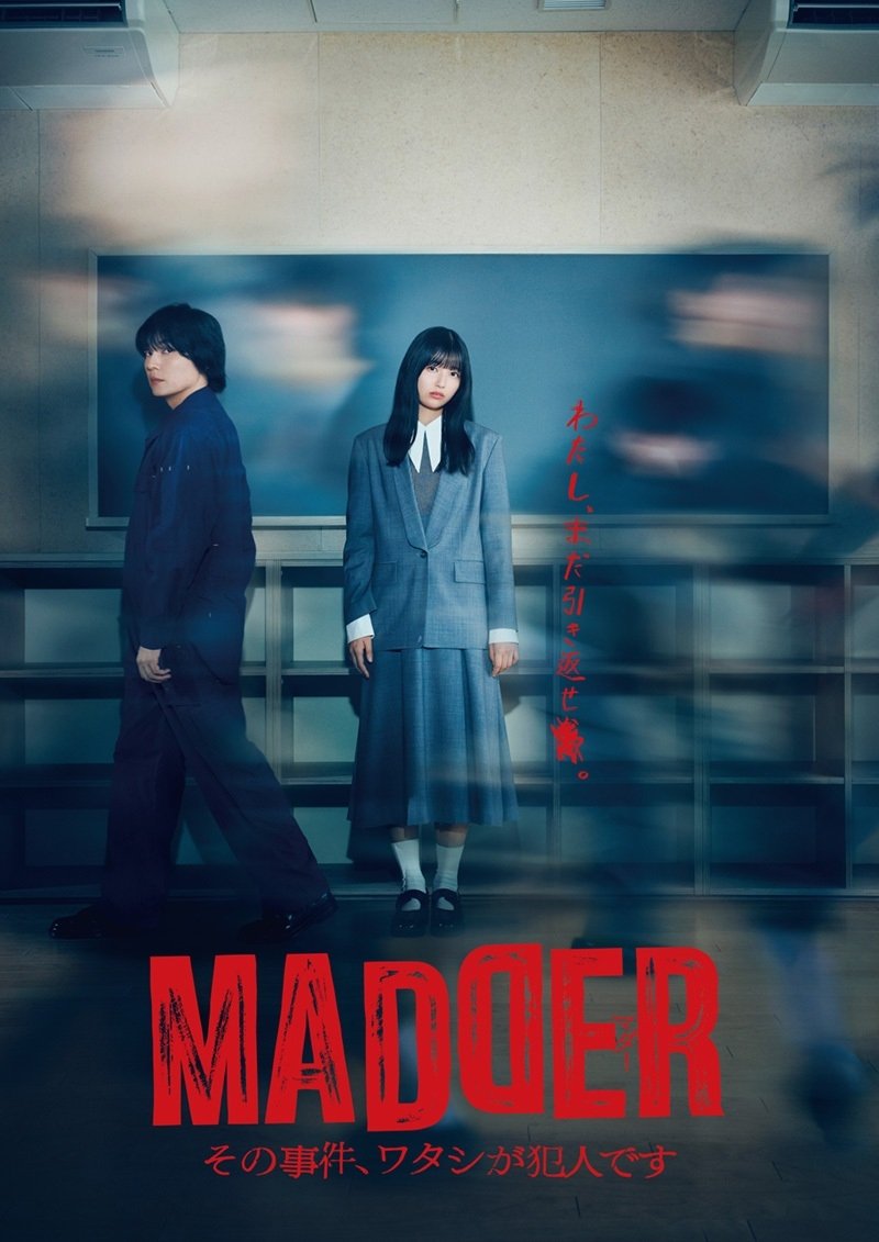 MADDER 那个事件，我是犯人