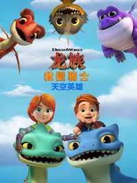 龙族救援骑士：天空英雄