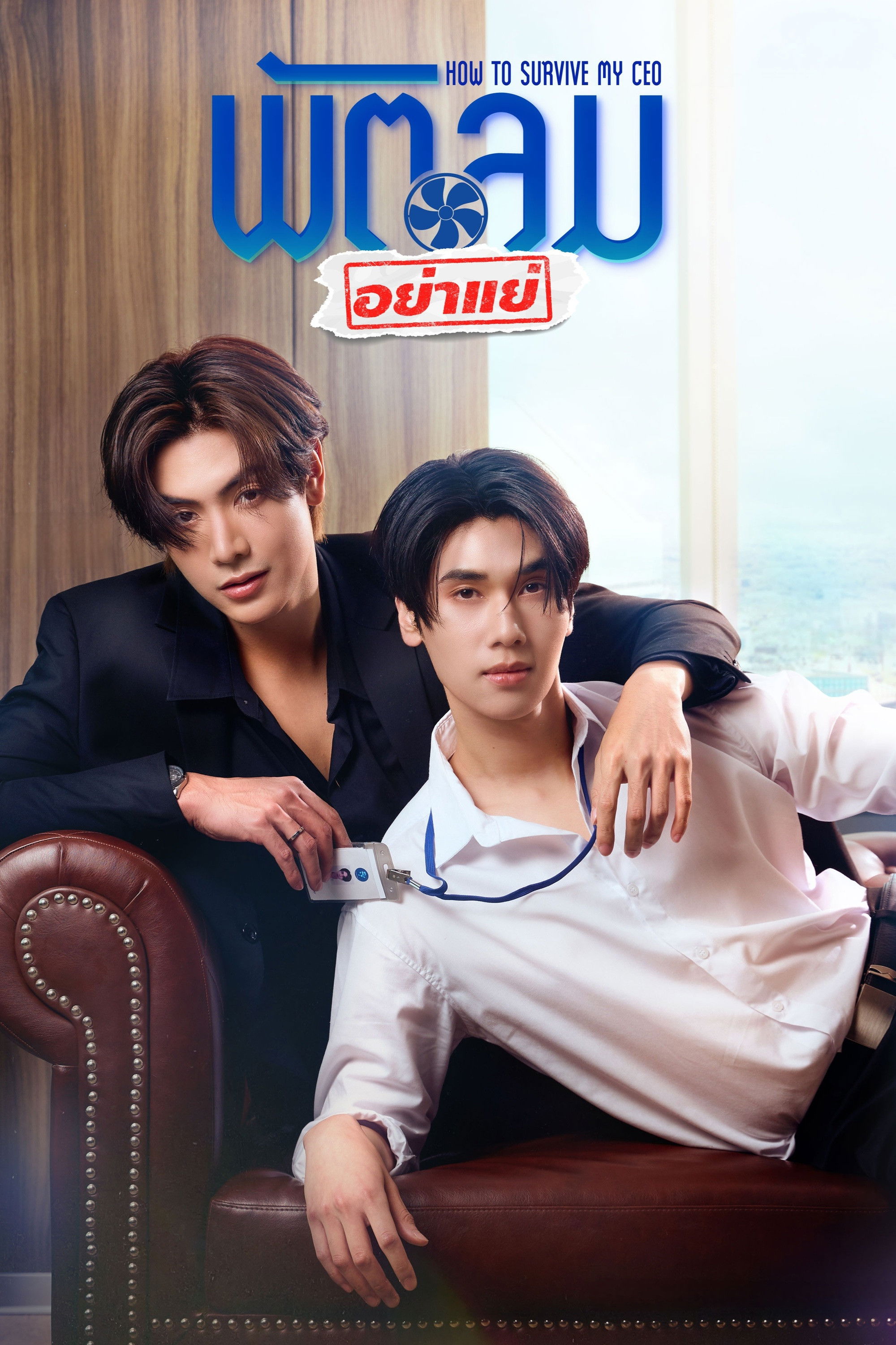 How to Survive My CEO