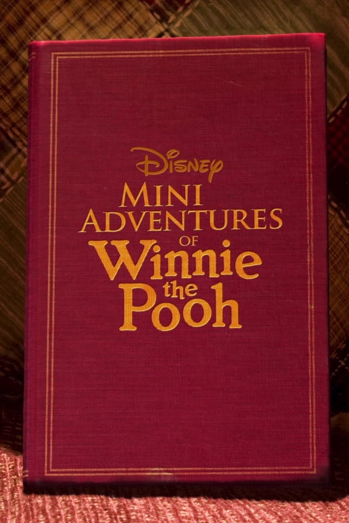 Mini Adventures of Winnie the Pooh 第一季