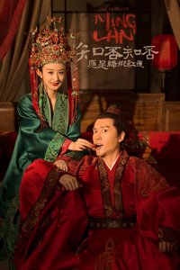 知否知否应是绿肥红瘦 (全一季)
