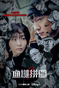 Nine Puzzles (血谜拼图)