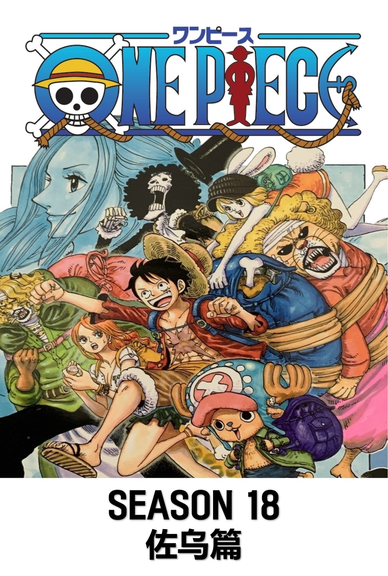 海贼王 (第18季 佐乌篇)