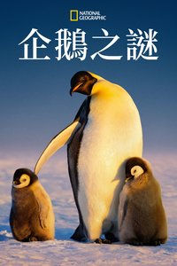 Secrets of the Penguins (Miniseries)
