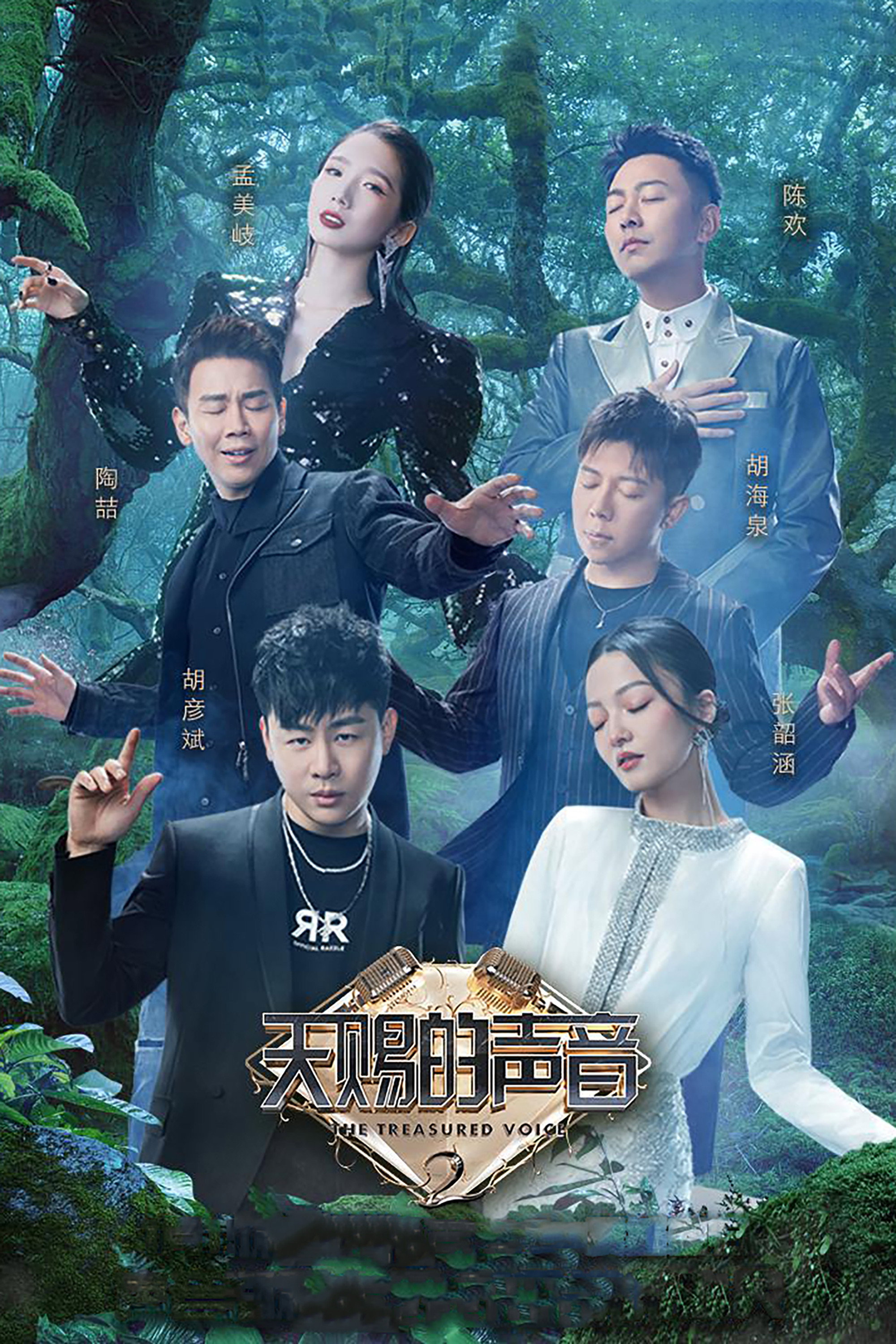 天赐的声音 第二季