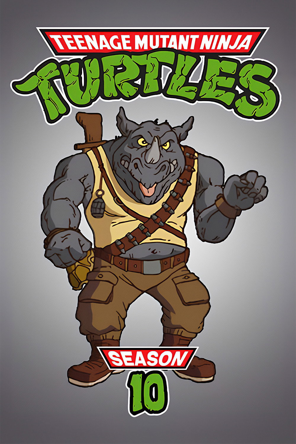 忍者神龟 第十季