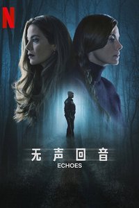双胞回声