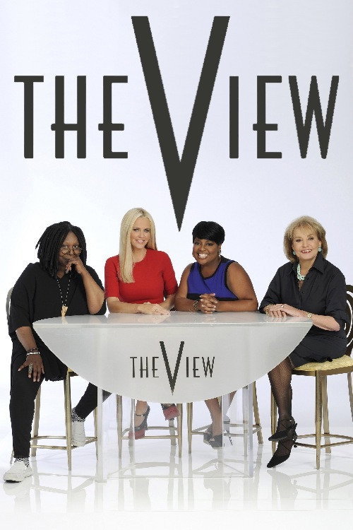 The View 第十七季