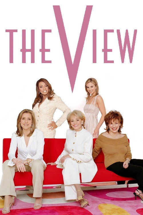 The View 第九季