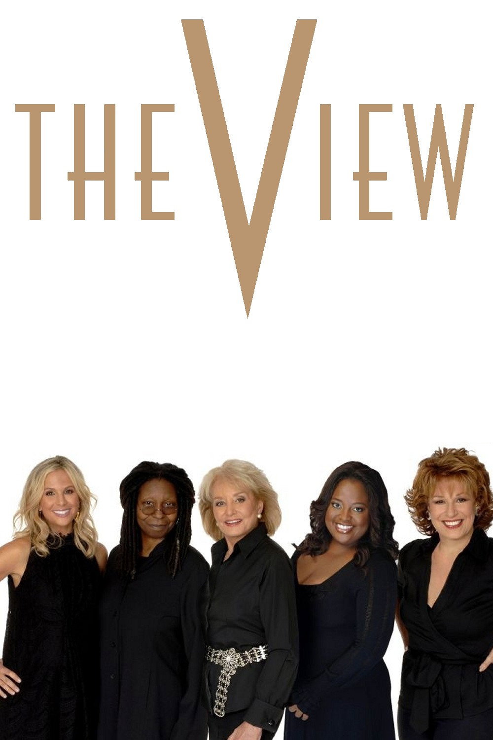The View 第十五季