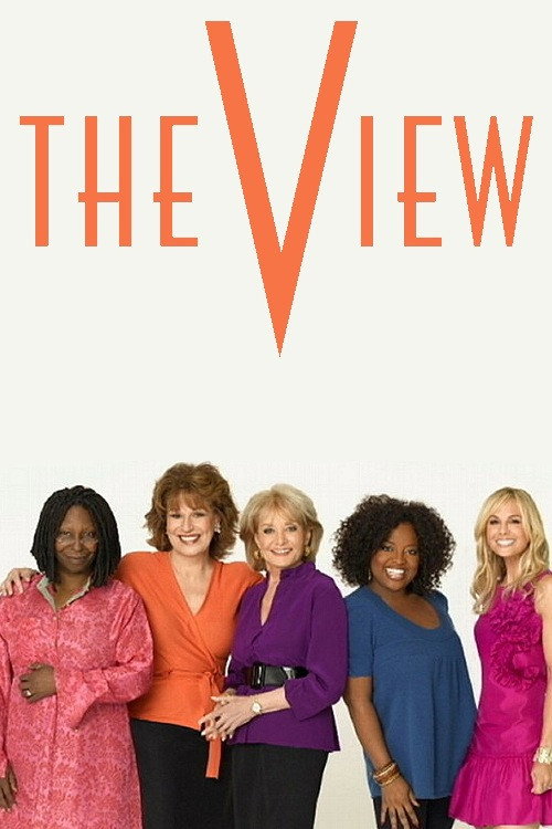 The View 第十二季