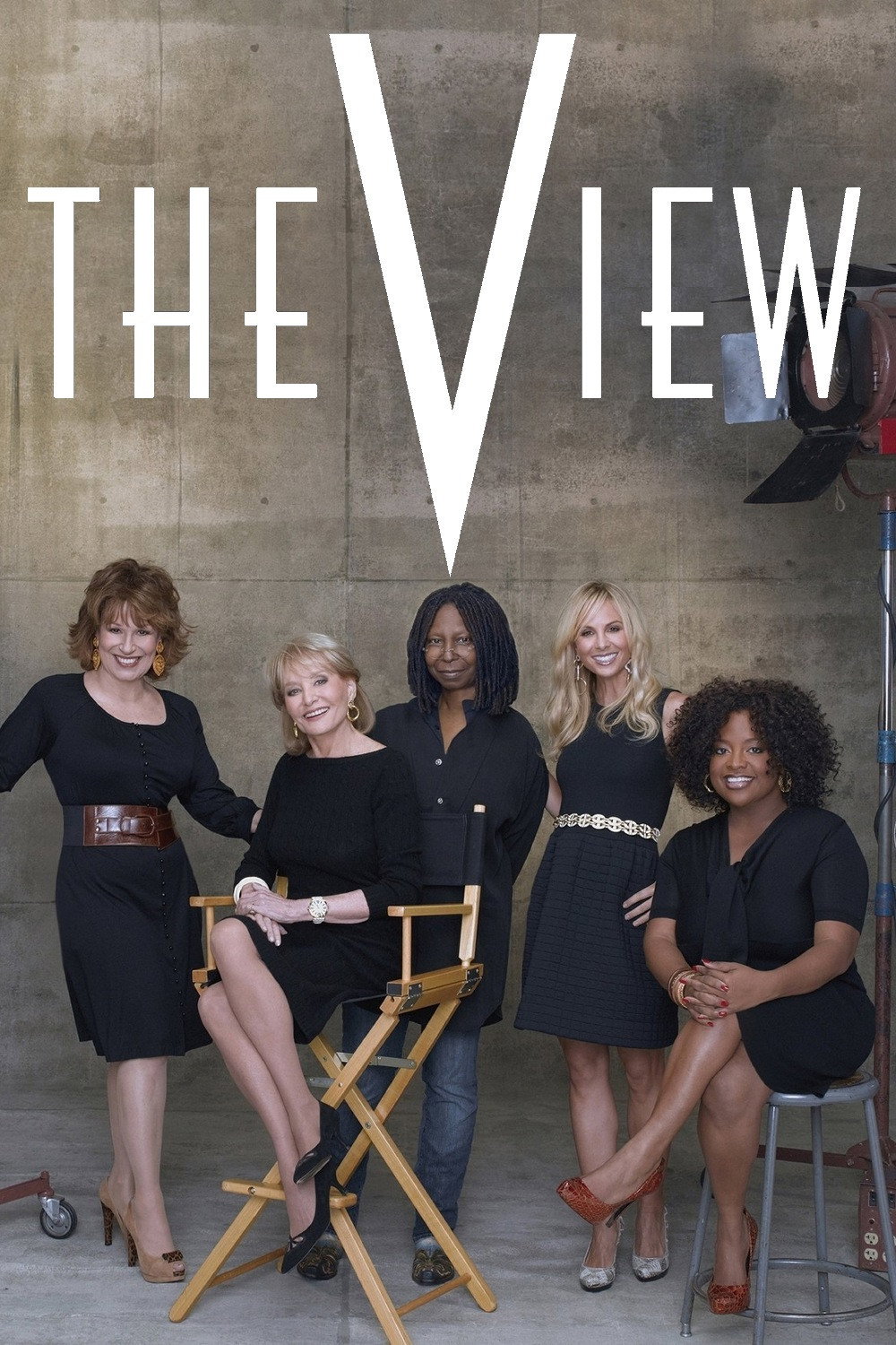 The View 第十六季