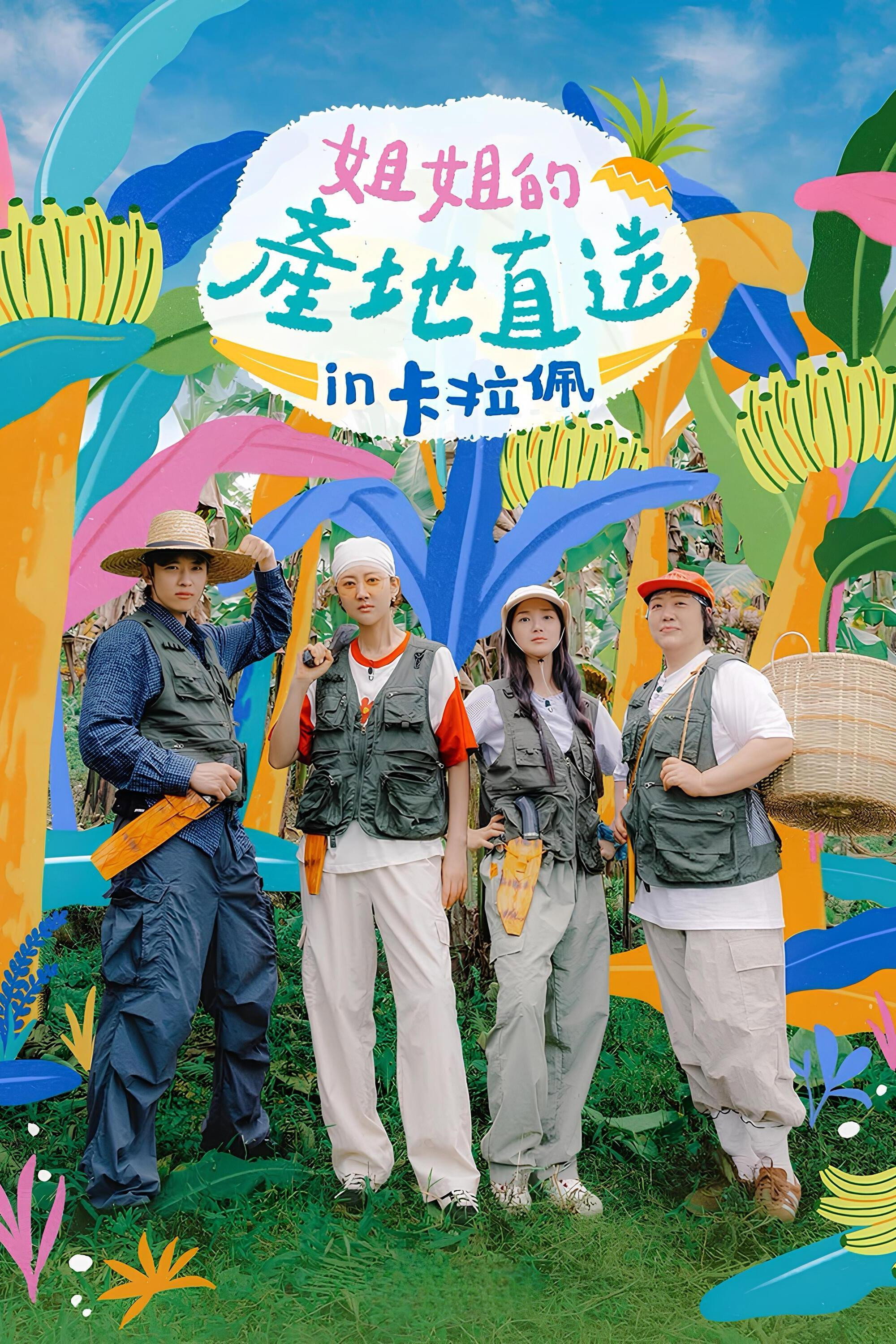 姐姐家的产地直送 第三季