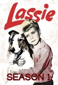 义犬莱西 第一季