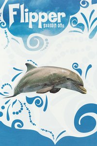 海豚弗利珀 第一季