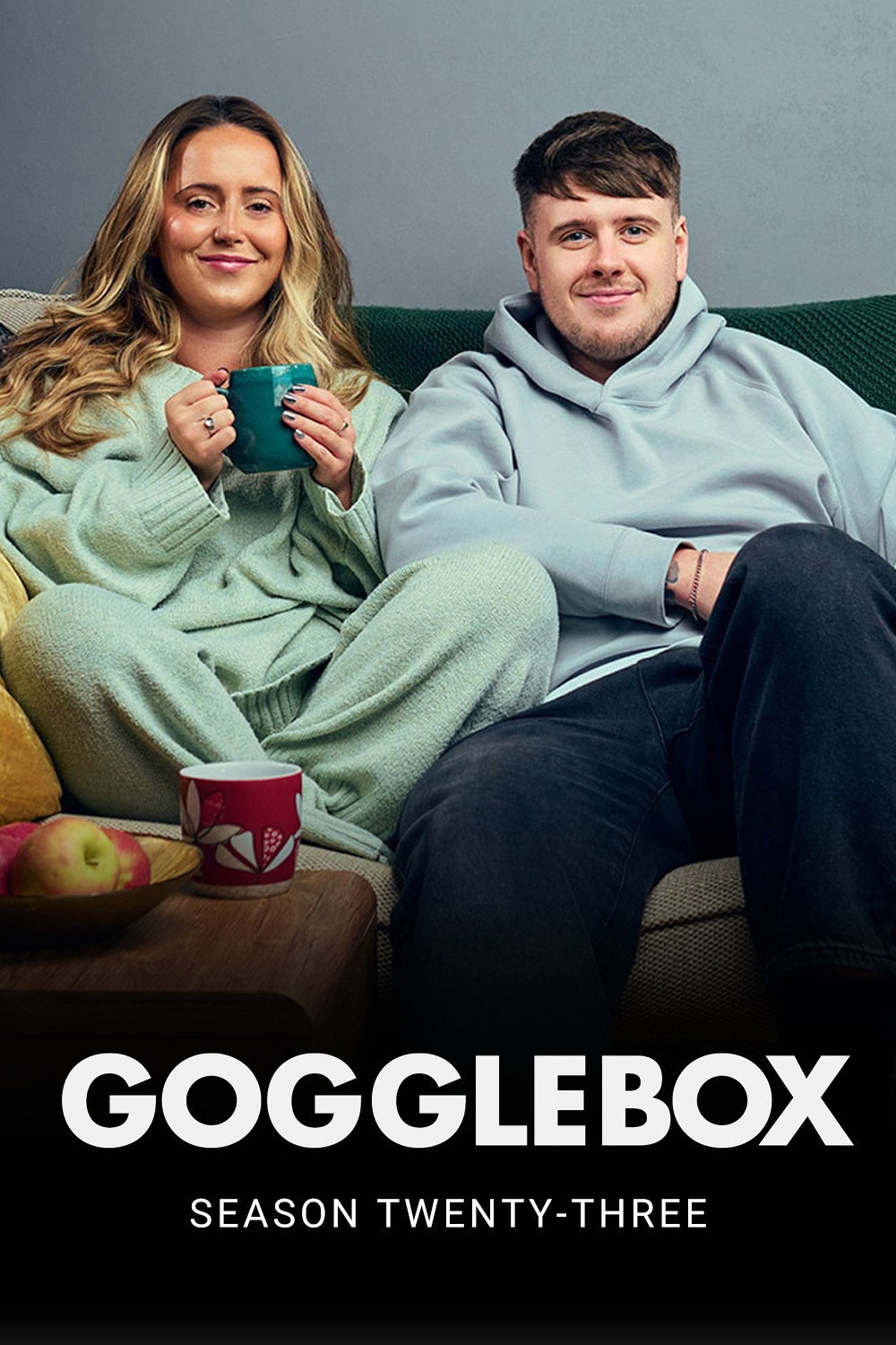 Gogglebox 第二十三季