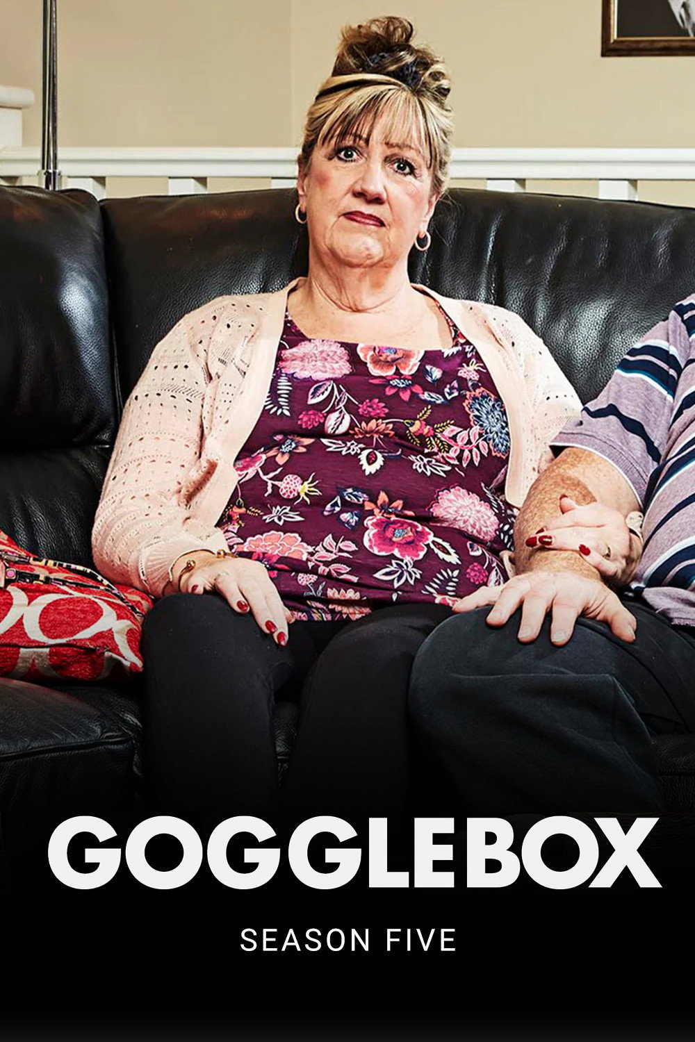 Gogglebox 第五季