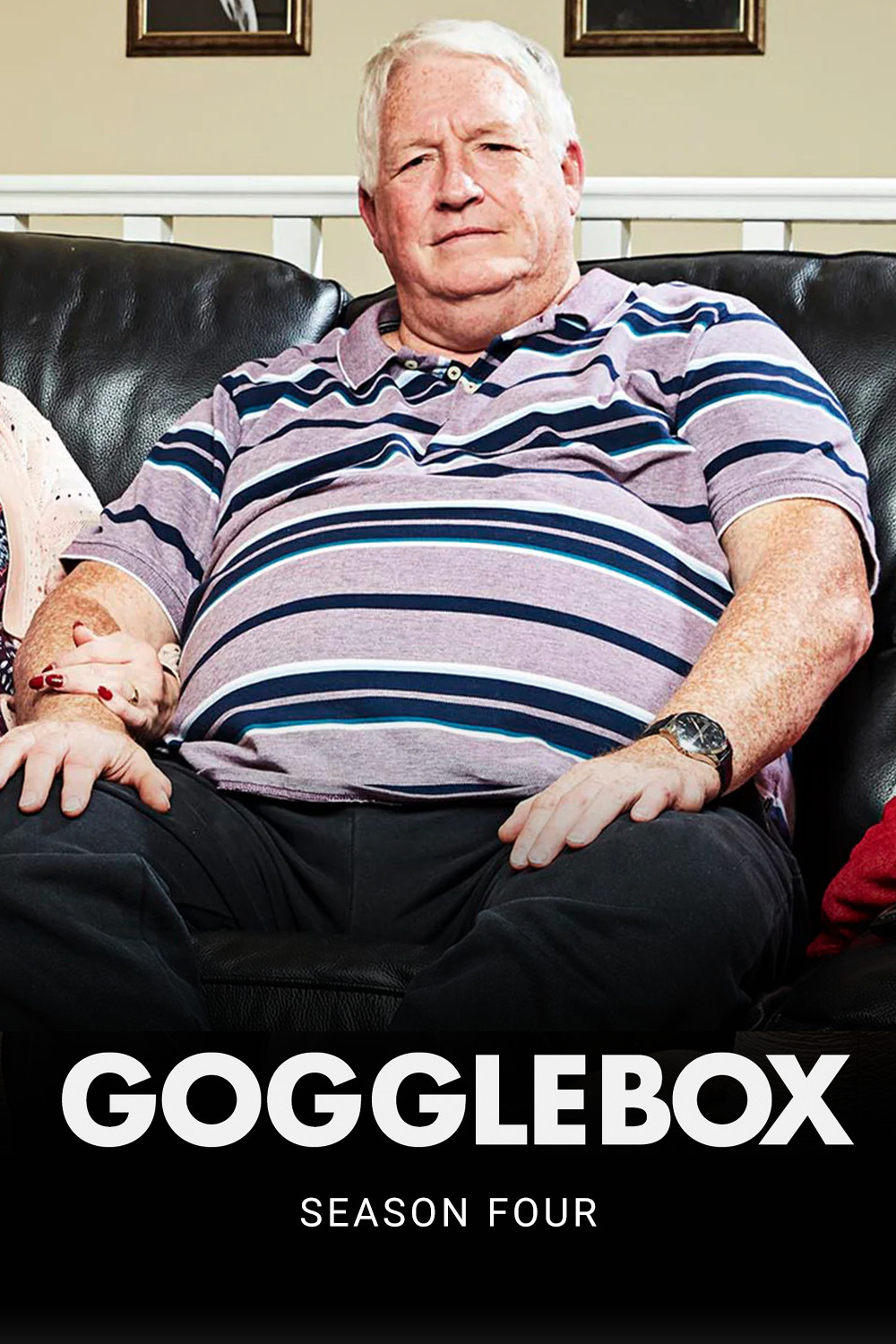 Gogglebox 第四季