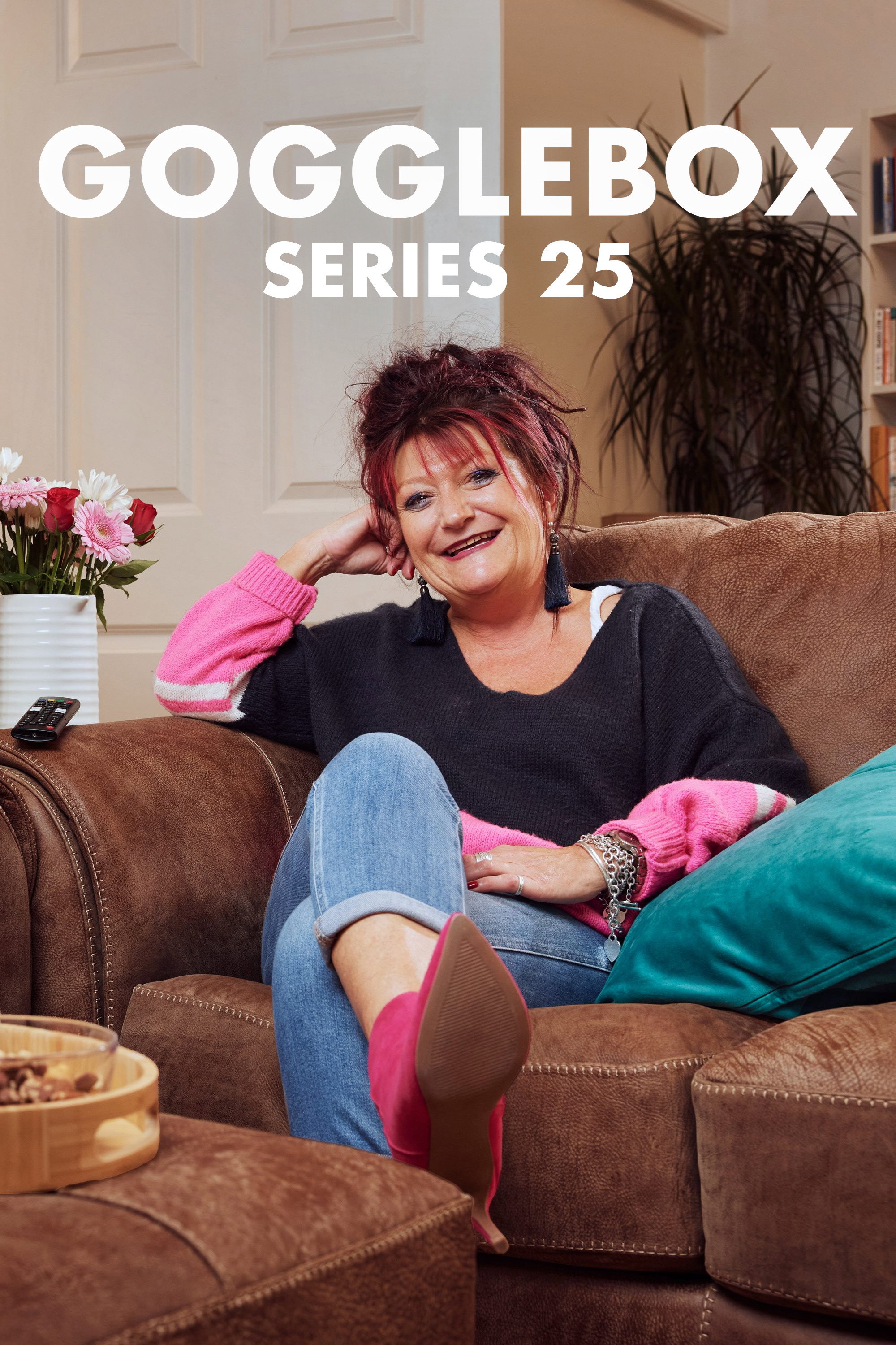 Gogglebox 第二十五季