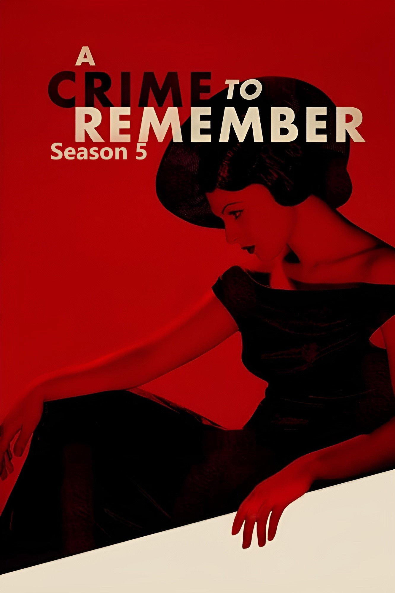 A Crime to Remember Season 5