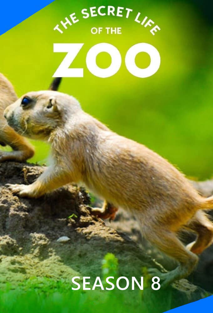 The Secret Life of the Zoo Season 8