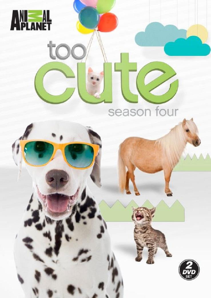 Too Cute Season 4