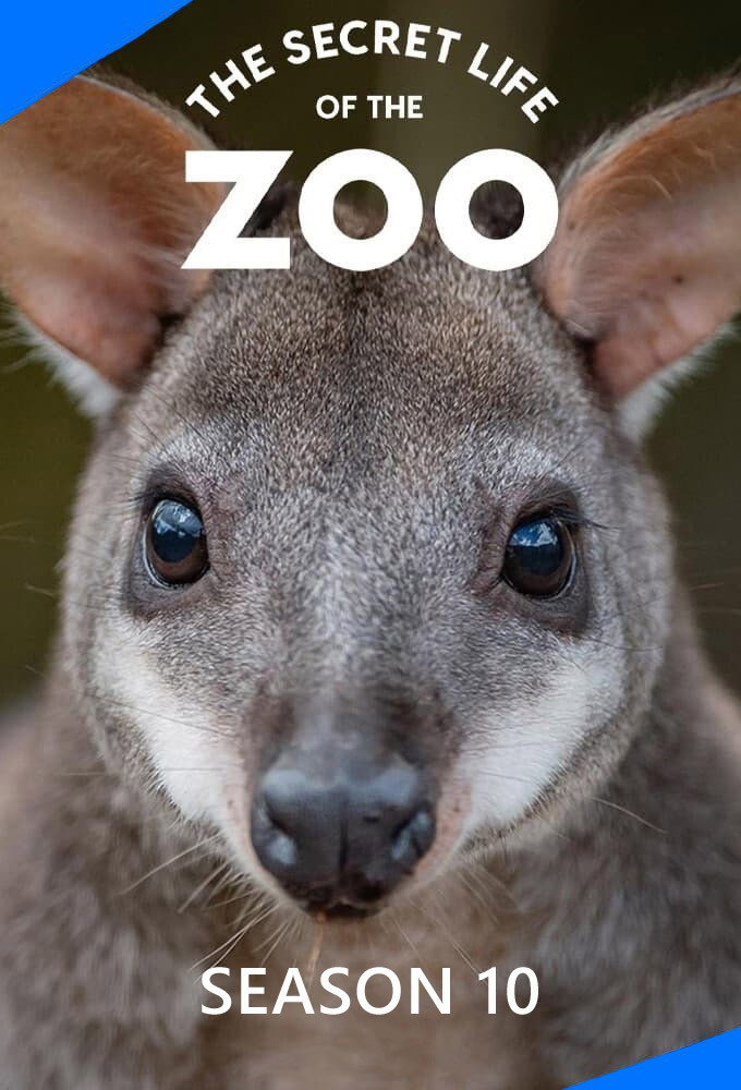 The Secret Life of the Zoo Season 10