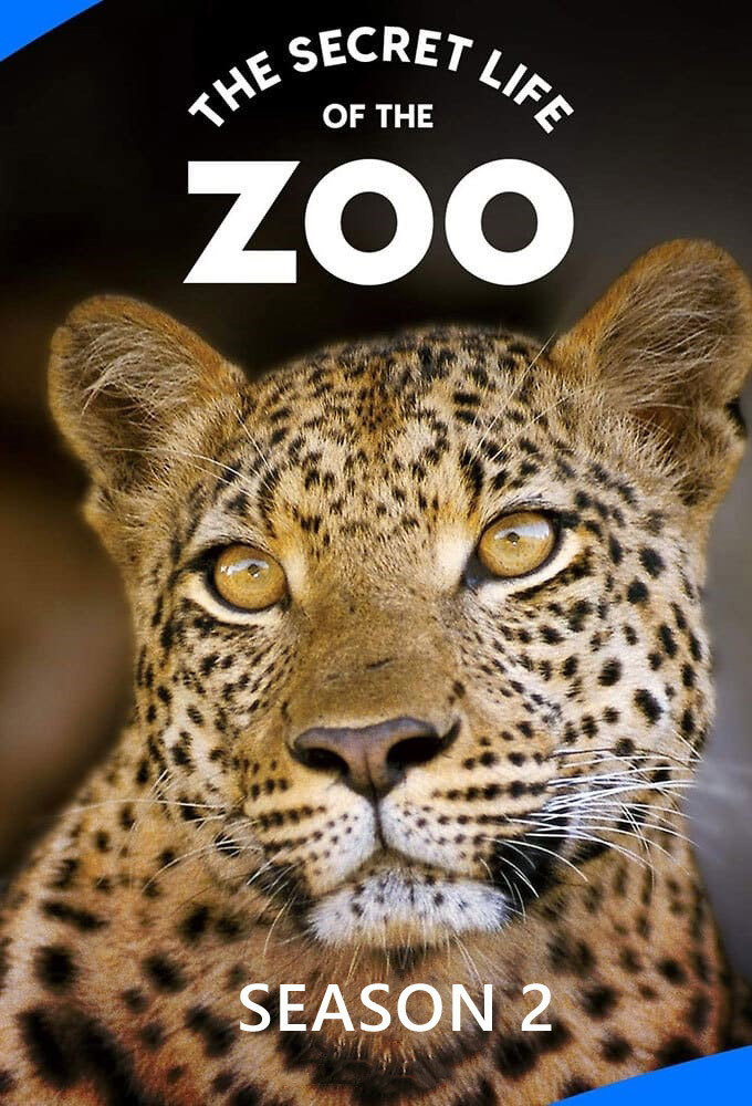 The Secret Life of the Zoo Season 2