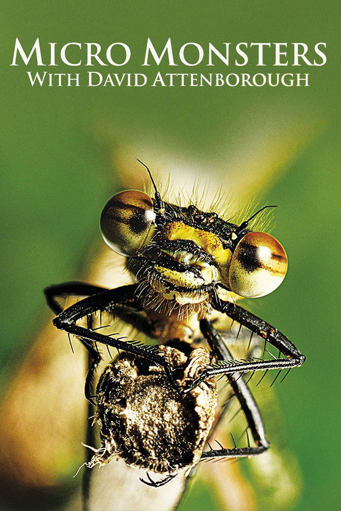 Micro Monsters with David Attenborough (Specials)