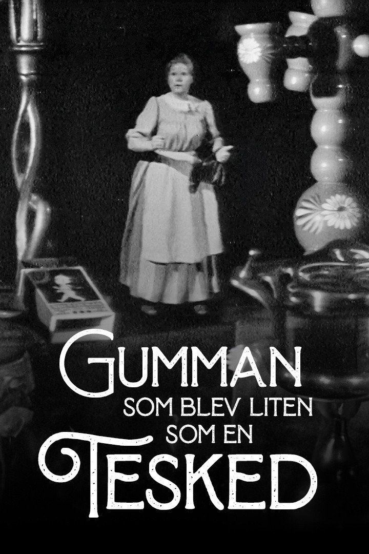 Sveriges Television's Christmas calendar Season 17