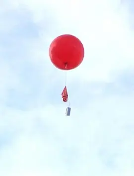 作為雨水：表象與意志