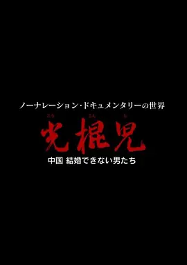 光棍儿:中国结不了婚的男人们