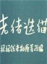 老猪选猫