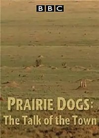 自然世界 草原土拨鼠：语言大师